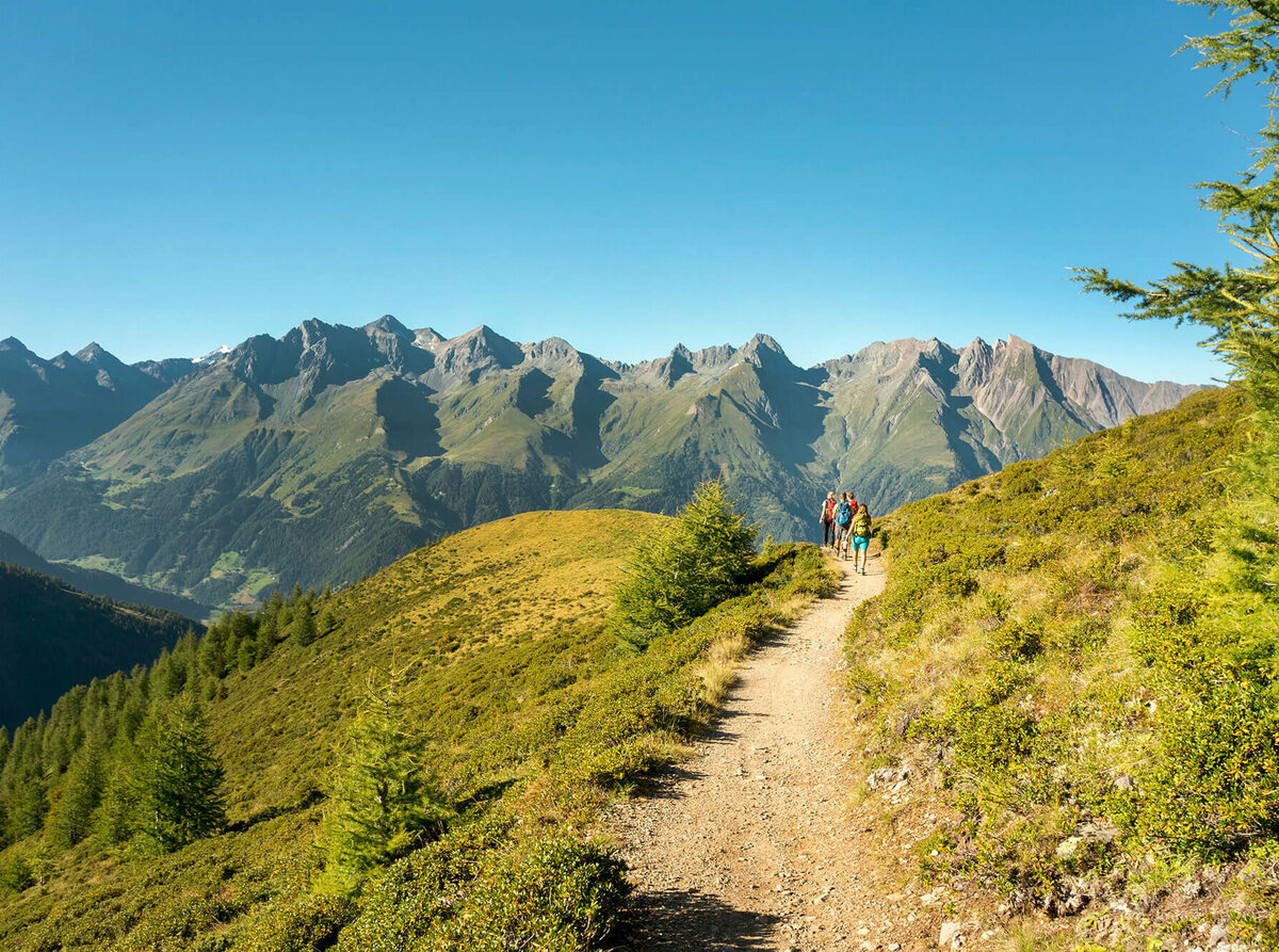Wandergruppe auf einem schmalen Weg mit Ausblick auf eine Bergkette im Virgental.