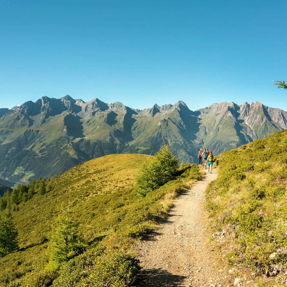 Wandergruppe auf einem schmalen Weg mit Ausblick auf eine Bergkette im Virgental.