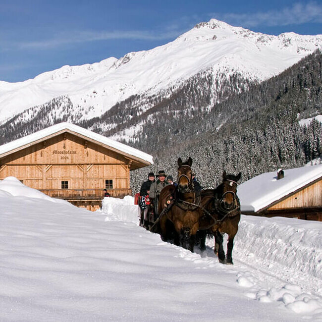 Winterlichte Pferdeschlittenfahrt in Ausservillgraten - Winkeltal Mooshofalm