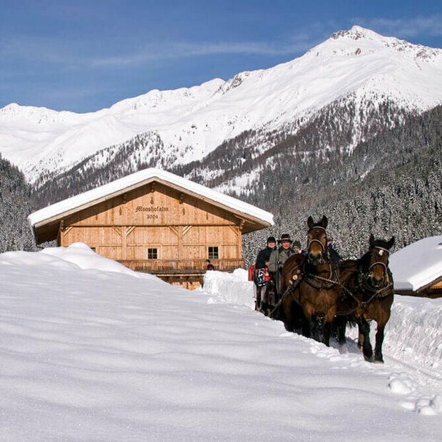 Winterlichte Pferdeschlittenfahrt in Ausservillgraten - Winkeltal Mooshofalm