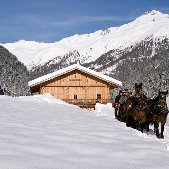 Winterlichte Pferdeschlittenfahrt in Ausservillgraten - Winkeltal Mooshofalm
