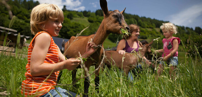 Eine Frau und zwei Kindern füttern zwei Ziegen auf einer Wiese auf einem Bauernhof in Osttirol.