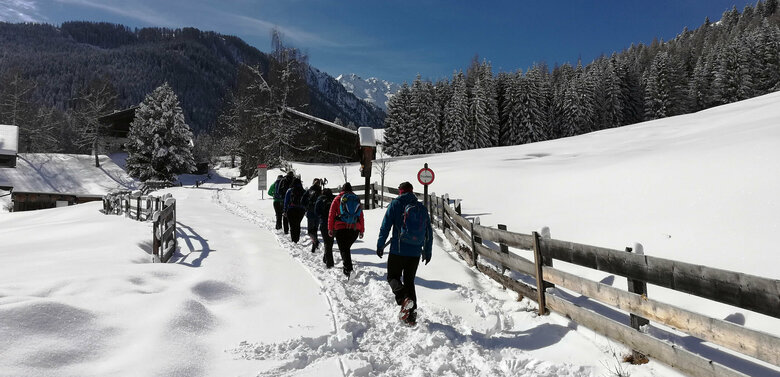 Mehrere Menschen bei einer geführten Winterwanderung in Kartitsch