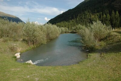 Der Blick auf den Wasserruheplatz Zollwirt in St. Jakob i. D.. Der schmale aber lange See ist dabei der Mittelpunkt des Bildes. Links und rechts ist das begrünte Ufer mit Sträuchern bedeckt, nur einzelne Steine ragen aus dem Wasser.