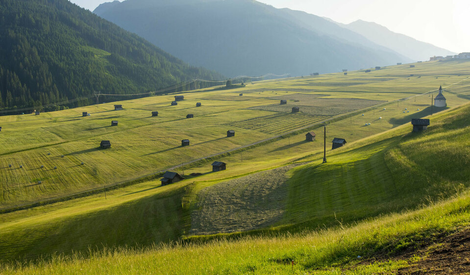 Eine intakte Landwirtschaft