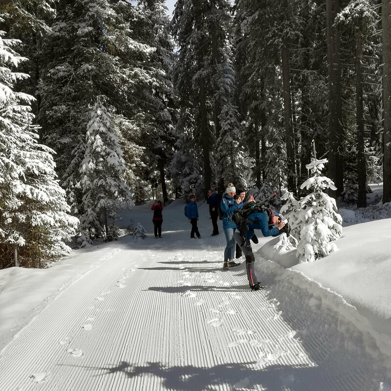 Personen beim Fotografieren des verschneiten Waldes während des Winterwanderns
