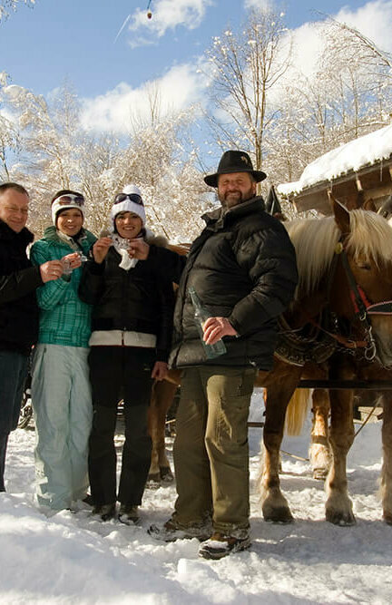 Pferdeschlittenfahrt - Strassen