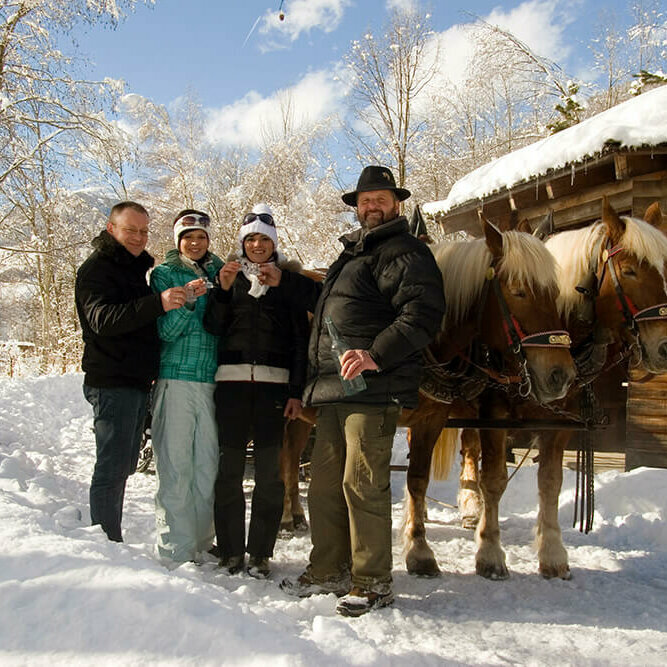 Pferdeschlittenfahrt - Strassen