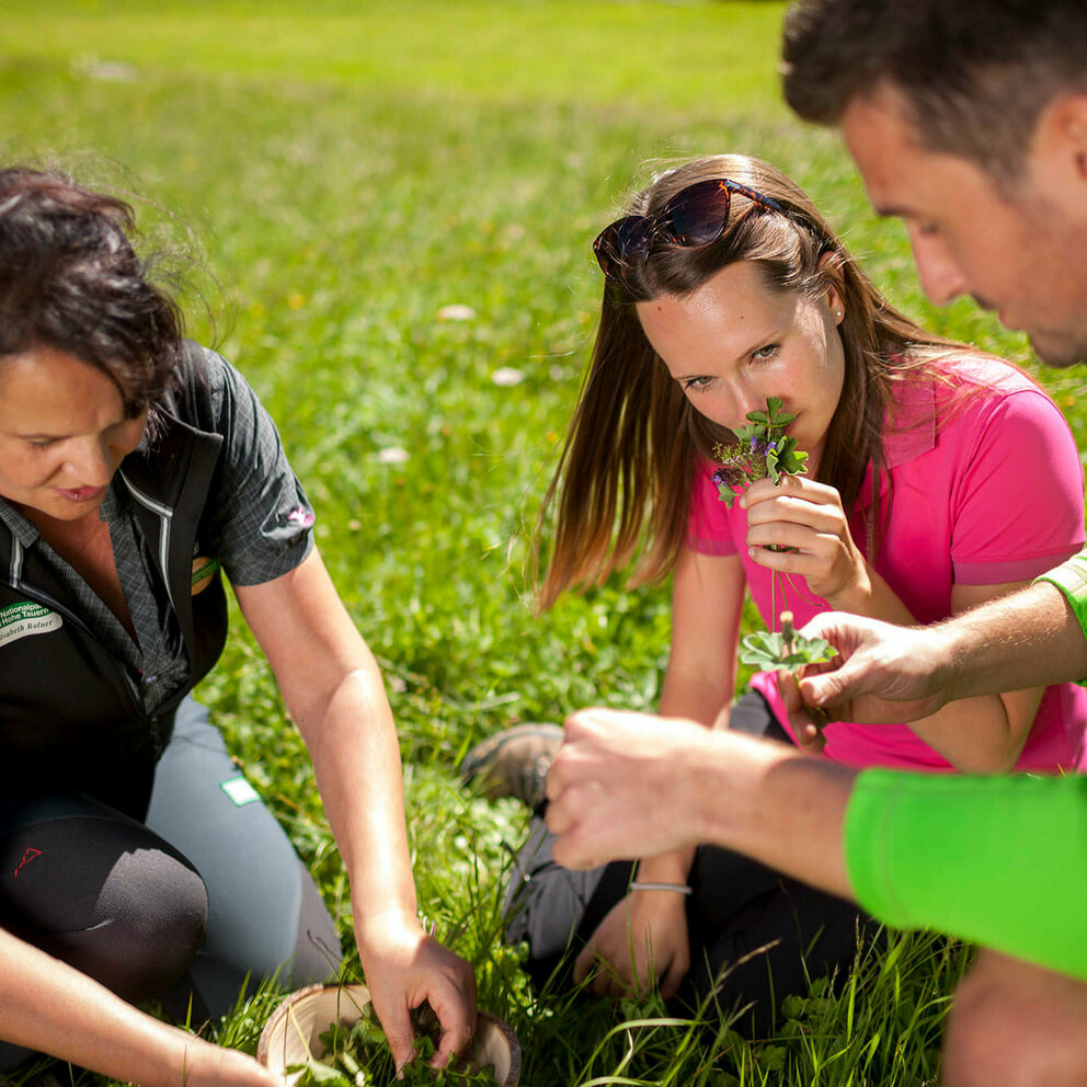 Drei Erwachsene beim Pflücken und Riechen von Kräutern auf einer Wiese.