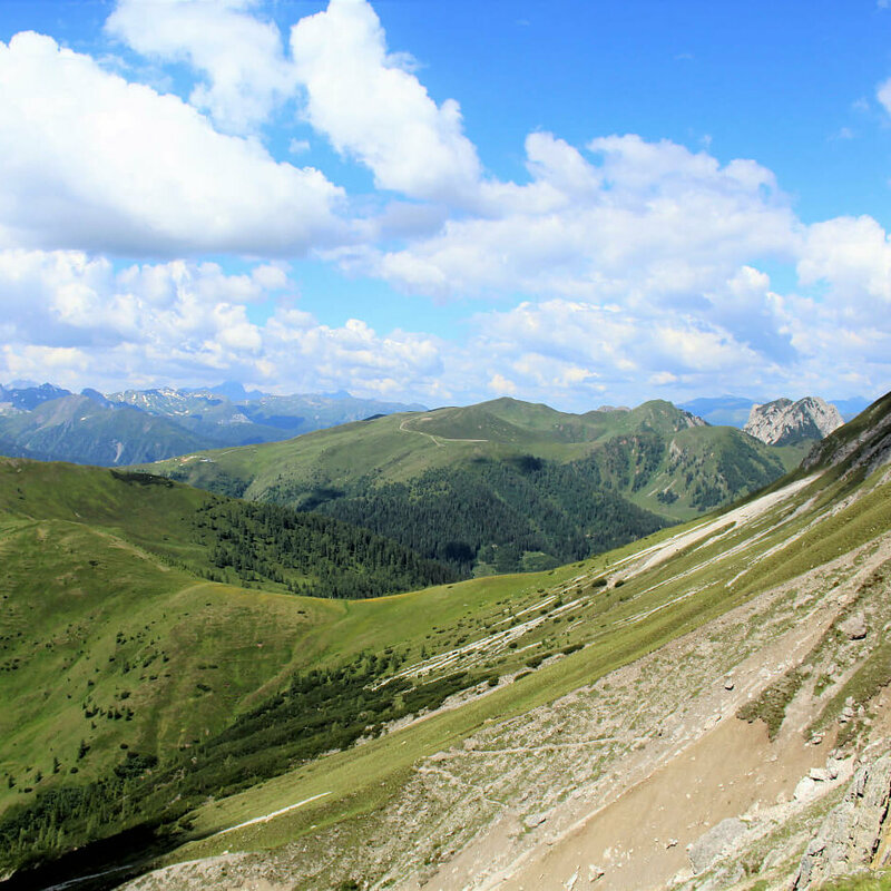Steile, nach Süden geneigte, sonnige Schotterrinnen im Vordergrund. Im Hintergrund die sanft anmutenden, mit Grasmatten bedeckten Berge der Gailtailer Alpen an einem sonnigen Sommertag. Ein paar kleine Quellwolken zieren den Himmel.