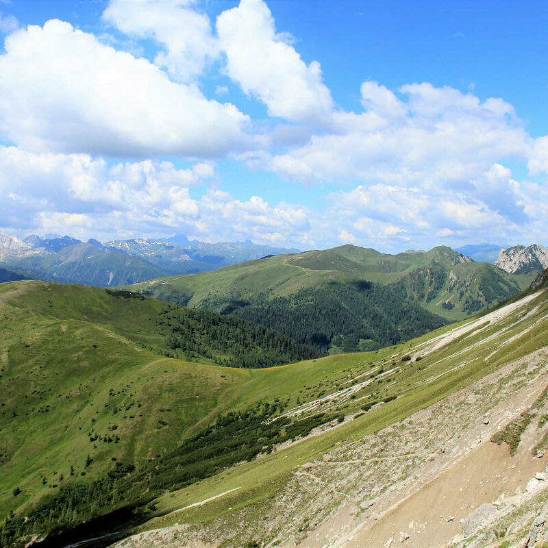 Steile, nach Süden geneigte, sonnige Schotterrinnen im Vordergrund. Im Hintergrund die sanft anmutenden, mit Grasmatten bedeckten Berge der Gailtailer Alpen an einem sonnigen Sommertag. Ein paar kleine Quellwolken zieren den Himmel.