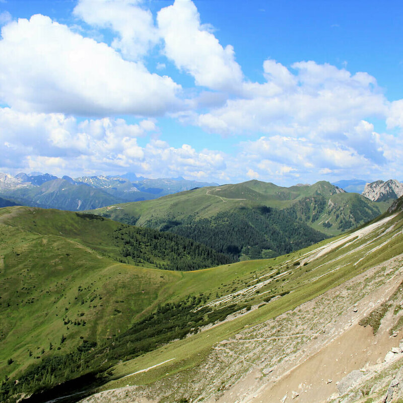 Steile, nach Süden geneigte, sonnige Schotterrinnen im Vordergrund. Im Hintergrund die sanft anmutenden, mit Grasmatten bedeckten Berge der Gailtailer Alpen an einem sonnigen Sommertag. Ein paar kleine Quellwolken zieren den Himmel.