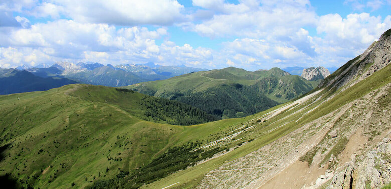 Steile, nach Süden geneigte, sonnige Schotterrinnen im Vordergrund. Im Hintergrund die sanft anmutenden, mit Grasmatten bedeckten Berge der Gailtailer Alpen an einem sonnigen Sommertag. Ein paar kleine Quellwolken zieren den Himmel.