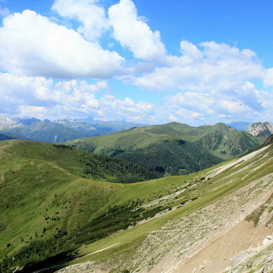 Steile, nach Süden geneigte, sonnige Schotterrinnen im Vordergrund. Im Hintergrund die sanft anmutenden, mit Grasmatten bedeckten Berge der Gailtailer Alpen an einem sonnigen Sommertag. Ein paar kleine Quellwolken zieren den Himmel.