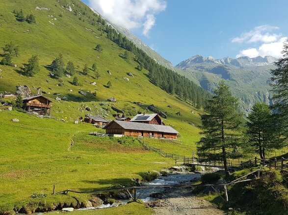 Das Bild zeigt die Äußere Steiner Alm in einer weitläufigen Berglandschaft. Mehrere Almgebäude liegen auf einer grünen Wiese, durch die ein Bach fließt. Im Hintergrund sind bewaldete Hänge und hohe Berggipfel zu sehen, während einzelne Bäume die Landschaft prägen.
