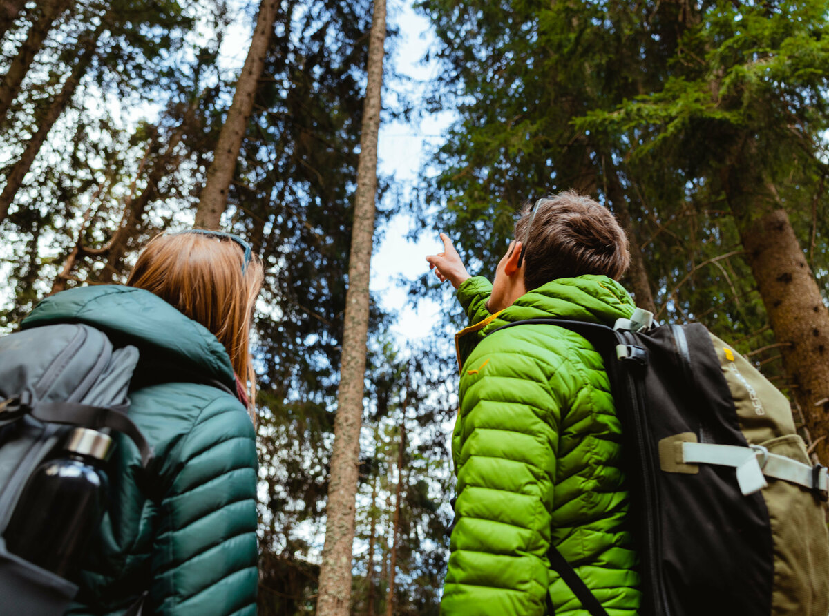 Zwei Personen spazieren im Wald durch Osttirol