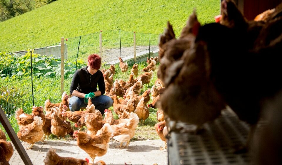 Bäuerin zwischen ihren braunen Hühner am Bödenlerhof