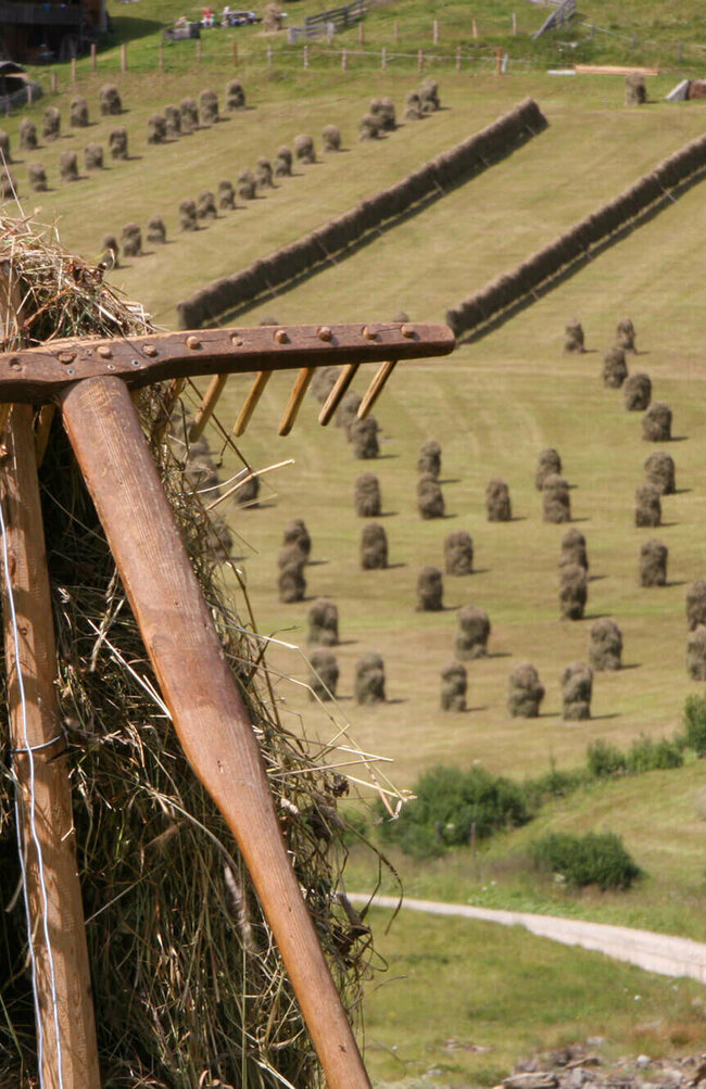 Früher wurde das gemähte Gras auf Holzkonstruktionen zum Trocknen aufgehängt. Solche Heuschober säumen das Feld.