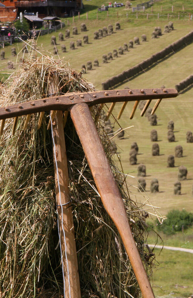 Früher wurde das gemähte Gras auf Holzkonstruktionen zum Trocknen aufgehängt. Solche Heuschober säumen das Feld.
