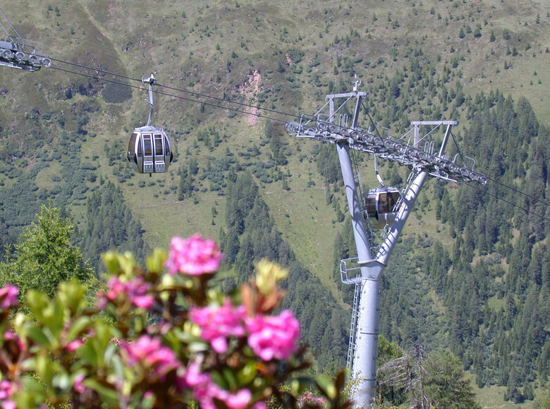 Blick auf eine Gonder der Bergbahn St. Jakob im Defereggental, im Vordergrund blühende Almrosen