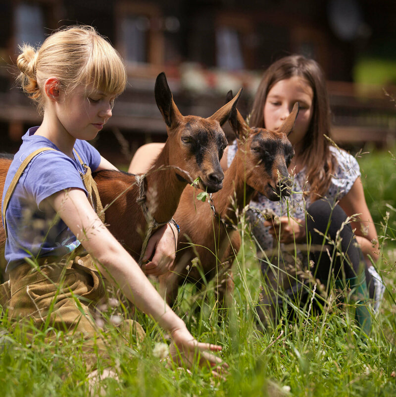 Zwei Mädchen und zwei Ziegen im hohen Gras auf einem Bauernhof.