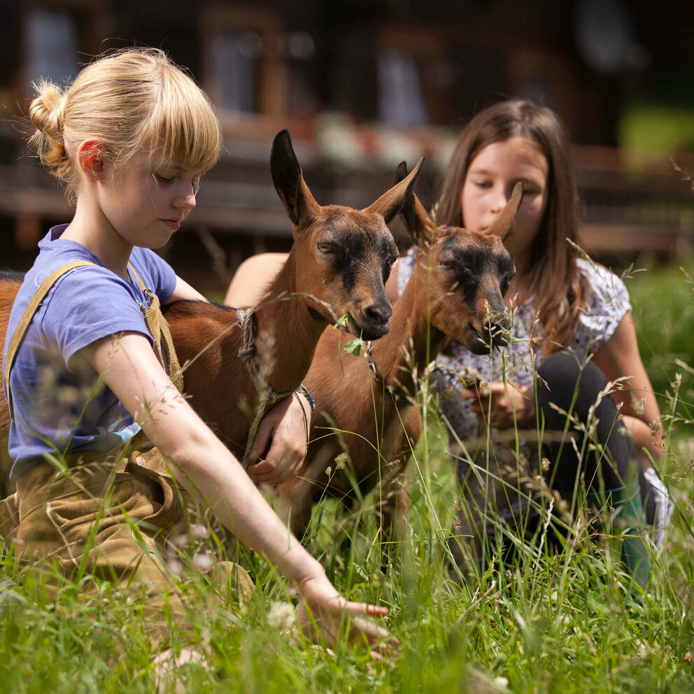 Zwei Mädchen und zwei Ziegen im hohen Gras auf einem Bauernhof.