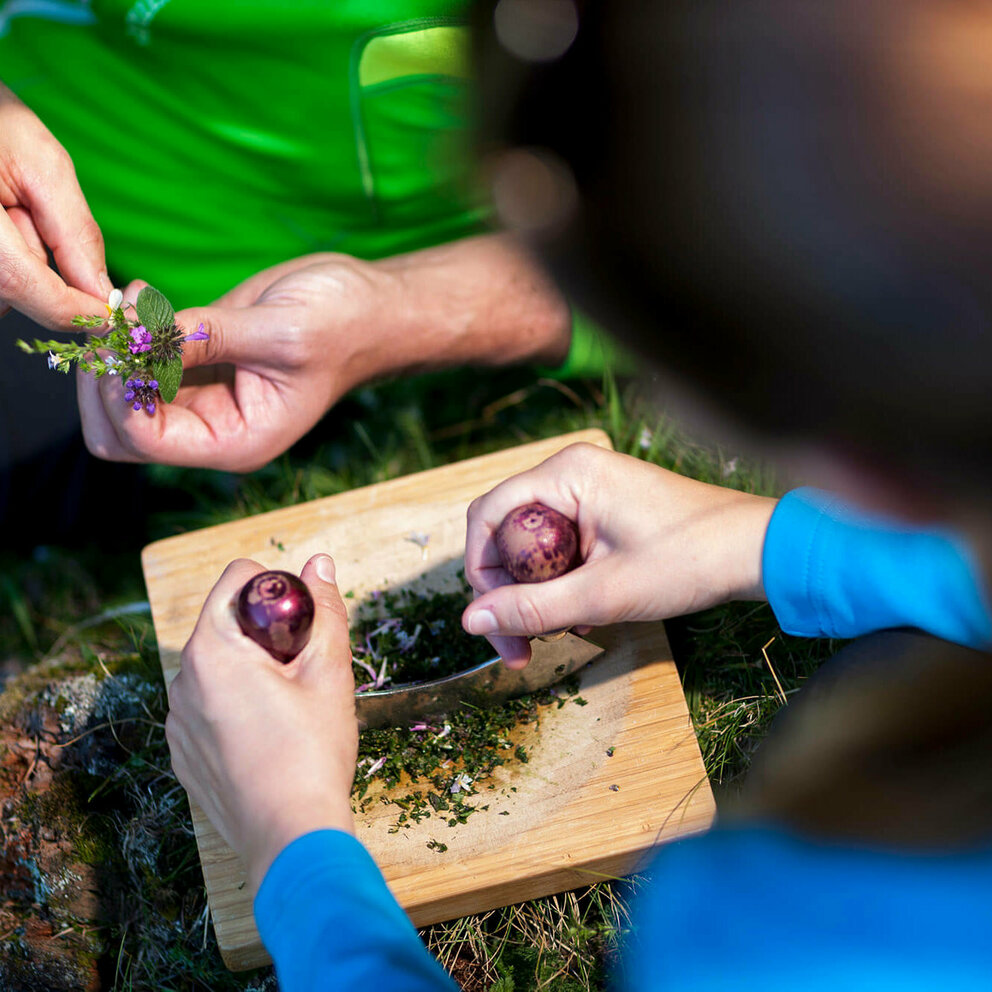 Kräuter werden auf einem Schneidebrett aus Holz mit einem Wiegemesser fein gehackt.