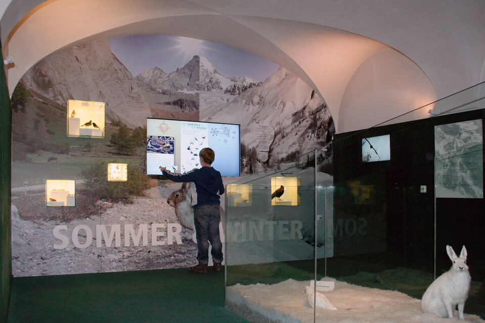 Ein Bub steht neugierig im interaktiven Bereich des Nationalparkhauses in Matrei und interagiert mit den Ausstellungsobjekten.