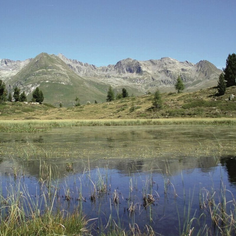 Blick auf den Bergsee "Plancklacke" am Hirschbichl in St. Jakob i. D..