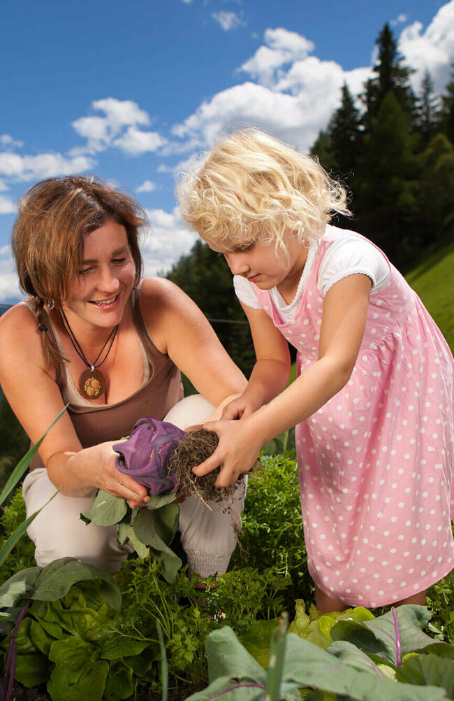 Eine Frau und ein Kind ernten frisches Gemüse auf einem Feld.