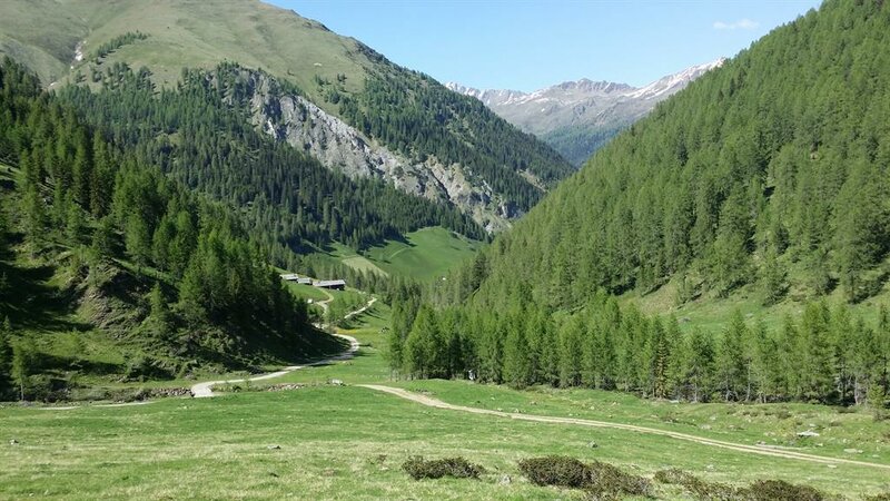Alfenalm - Ferienwohnungen am Berg - Almhütte – Bild 4