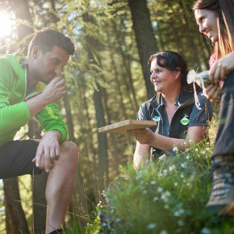 Geheime Welt der Kräuter