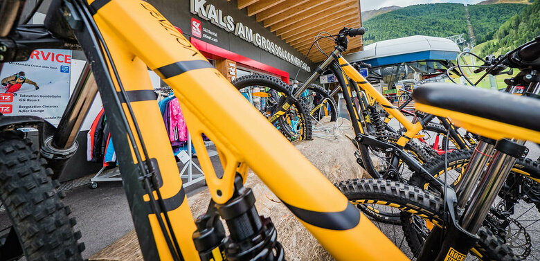 Mehrere gelb-schwarze Mountainbikes in einem Baum als Fahrradständer an der Talstation der Bergbahn in Kals am Großglockner.