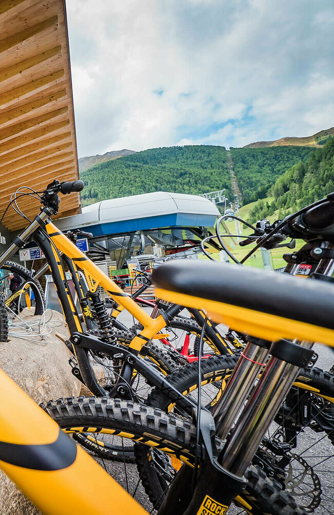 Mehrere gelb-schwarze Mountainbikes in einem Baum als Fahrradständer an der Talstation der Bergbahn in Kals am Großglockner.