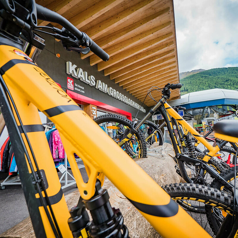 Mehrere gelb-schwarze Mountainbikes in einem Baum als Fahrradständer an der Talstation der Bergbahn in Kals am Großglockner.