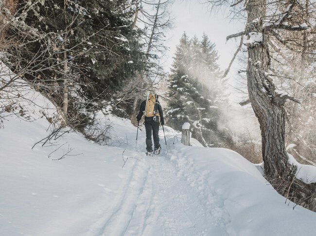 Ein Schneeschuwanderer mit gelbem Rucksack steigt durch einen verschneiten Wald in Osttirol.