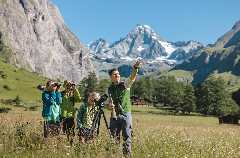 Wildtierbeobachtung Nationalpark Hohe Tauern