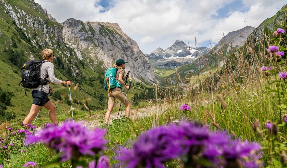 Wandern Blickrichtung Großglockner