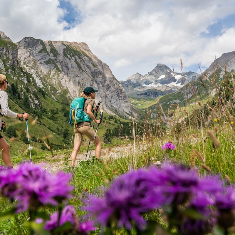Wandern Blickrichtung Großglockner