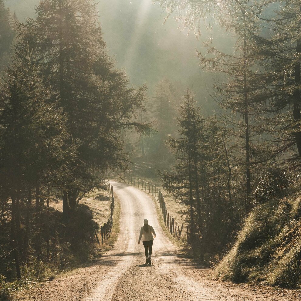 Wander im Gschlösstal
