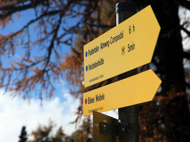 Gelber Wegweiser an einem Baum "Pustertaler Almweg" in Richtung Hochstein