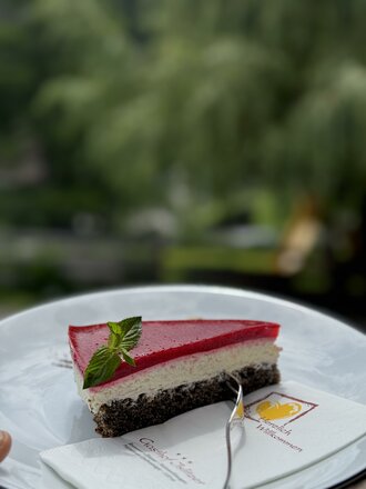 Das Bild zeigt ein Stück Himbeer-Mohn-Torte auf einem weißen Teller. Die Torte besteht aus einem dunklen Mohnboden und einer roten Himbeerschicht und ist mit einem Minzblatt garniert. Im Hintergrund sind unscharfe Grünpflanzen zu sehen, die die Torte zusätzlich hervorheben.
