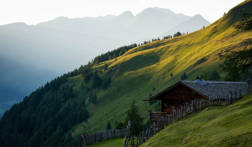The Edelweiß Meadow
