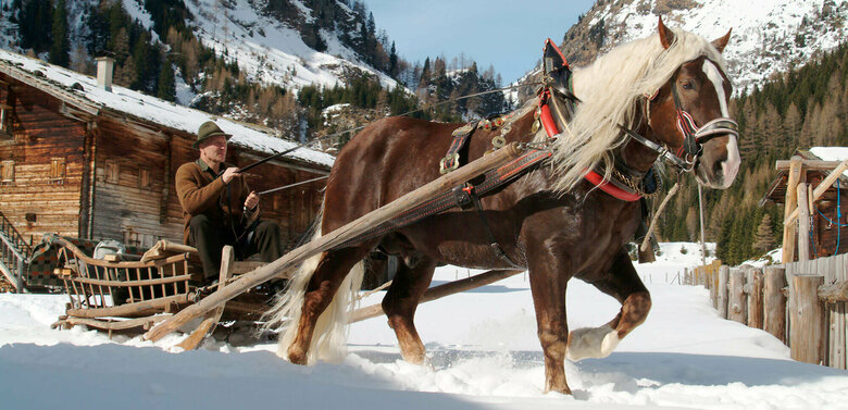 Kutscher mit Pferdeschlitten im Winter