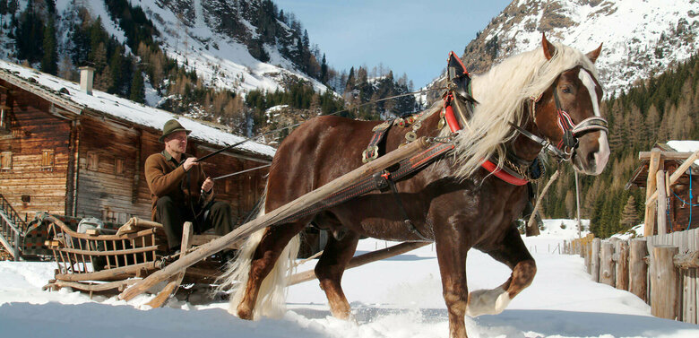 Kutscher mit Pferdeschlitten im Winter