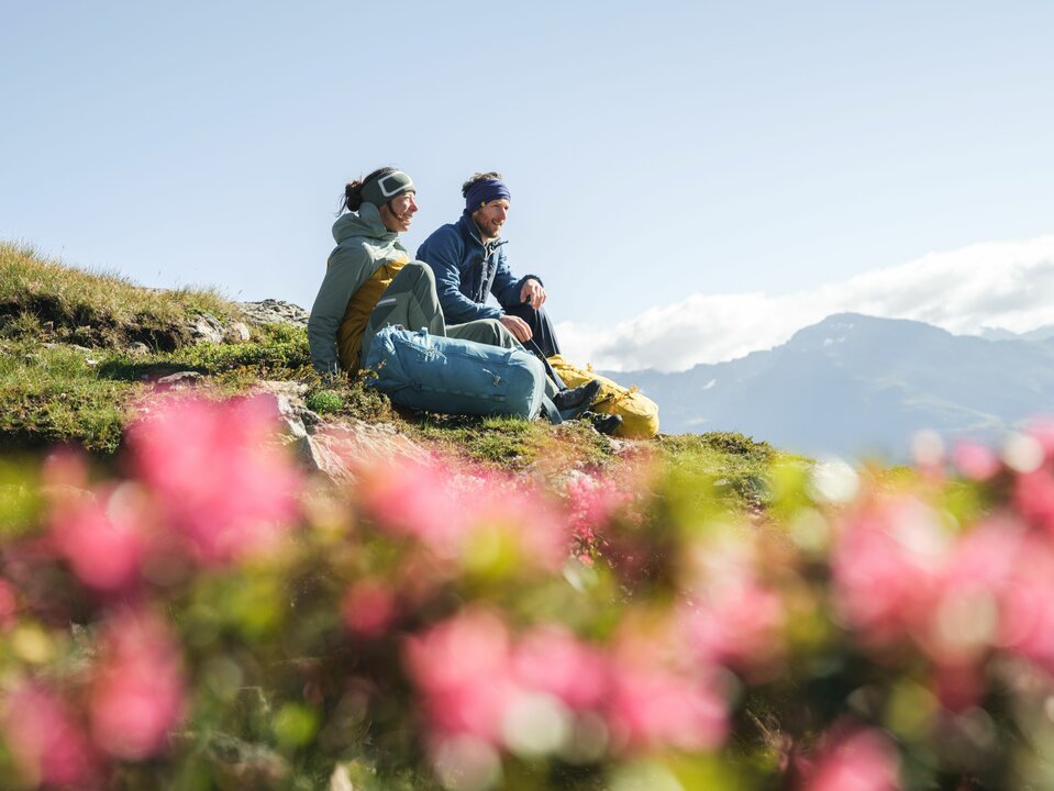 Ein Paar macht eine Pause auf einer Wiese mit Almrosen auf dem Weg zum Bösen Weibele zu einer Sonnenaufgangstour.