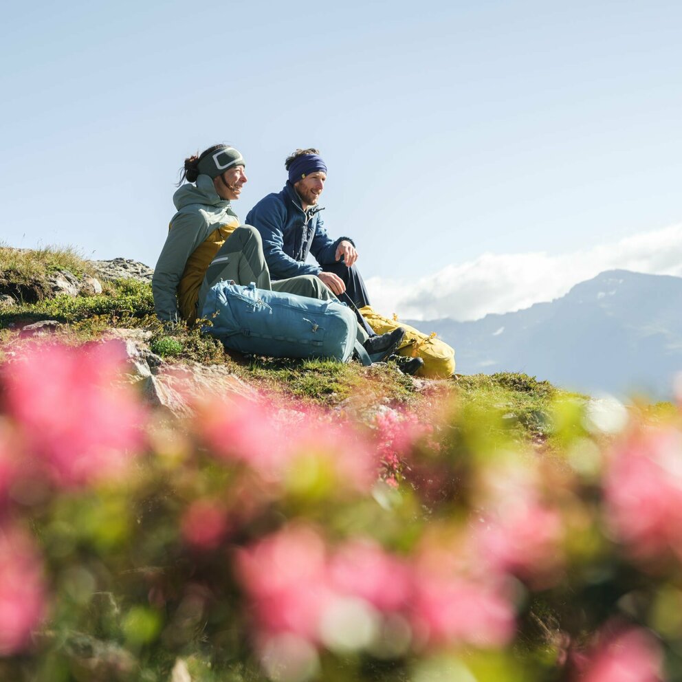 Ein Paar macht eine Pause auf einer Wiese mit Almrosen auf dem Weg zum Bösen Weibele zu einer Sonnenaufgangstour.