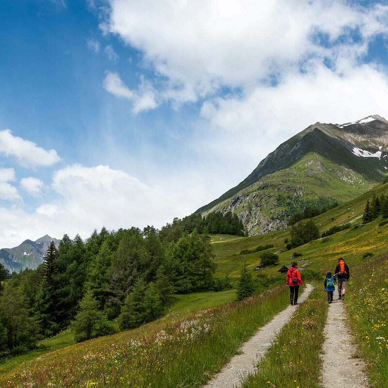 Virgentaler Sonnenseite