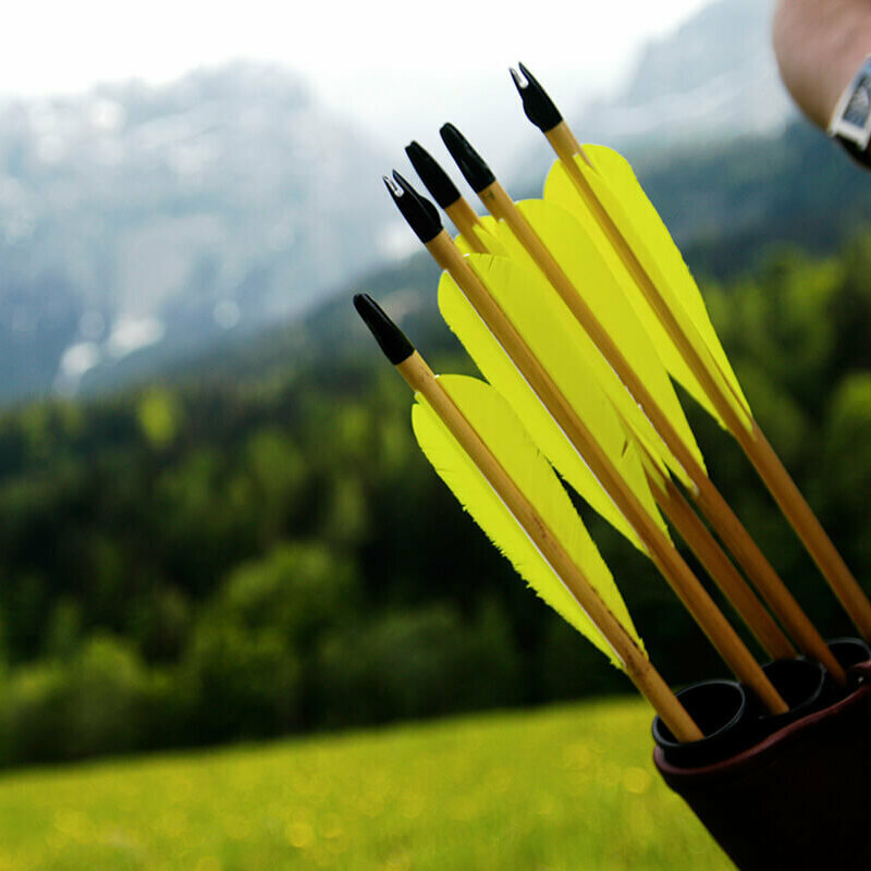 Fünf Pfeile mit gelben Federn in einem Behälter. Im Hintergrund eine Dame mit Bogen.