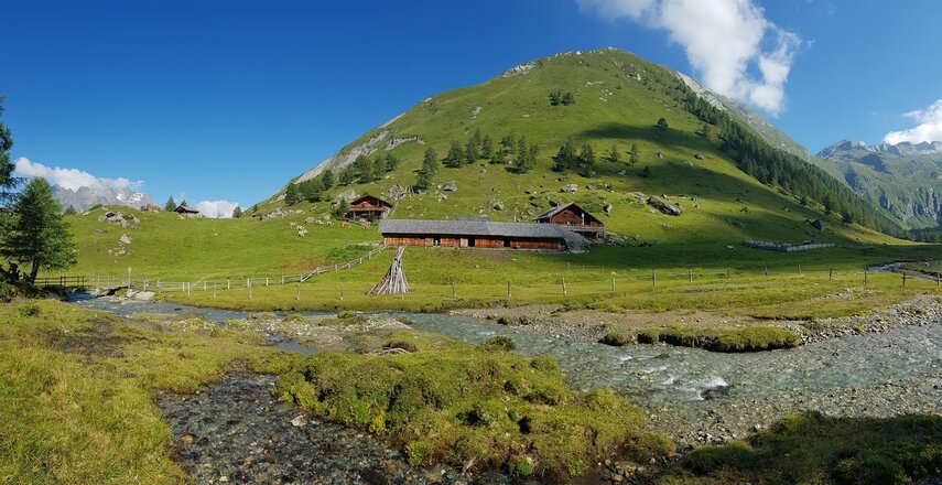 Das Bild zeigt die Äußere Steiner Alm in einer offenen Berglandschaft. Mehrere Almgebäude liegen auf einer grünen Wiese, durch die ein breiter Bach mit mehreren Wasserarmen fließt. Im Hintergrund erhebt sich ein großer, grasbewachsener Berghang, auf dem einzelne Hütten und verstreute Bäume zu sehen sind.
